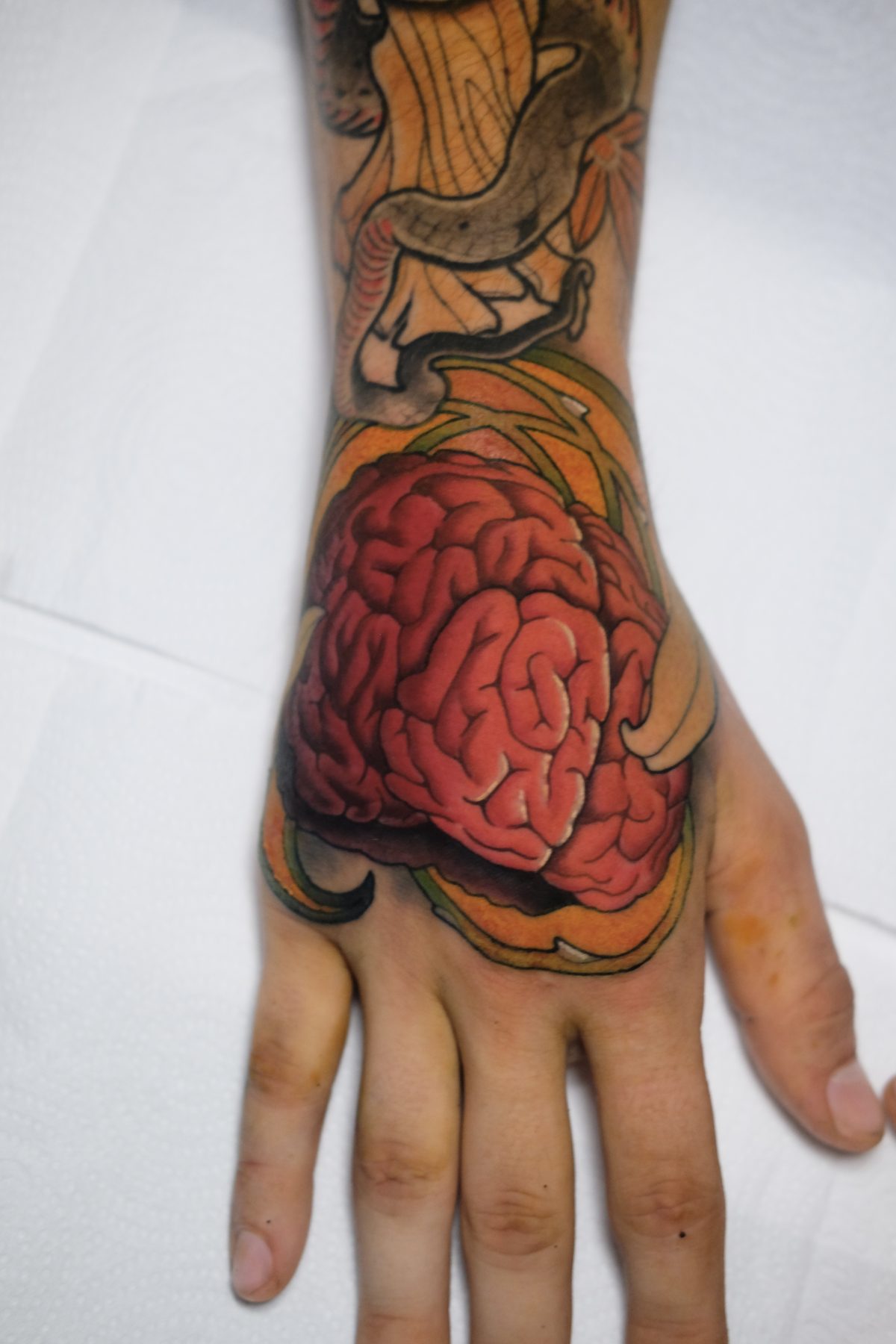 Anatomical Brain Hand Piece