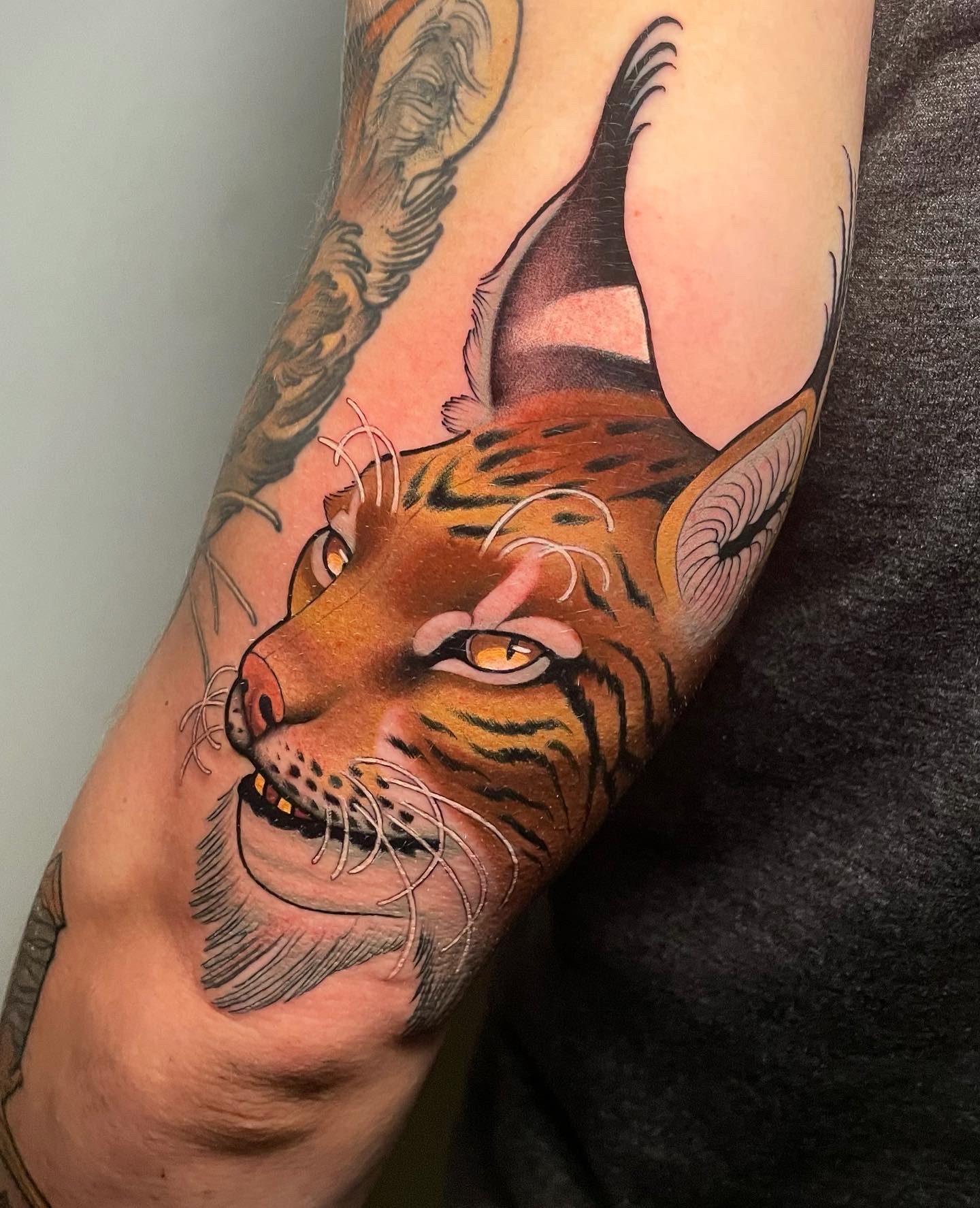 Bobcat
