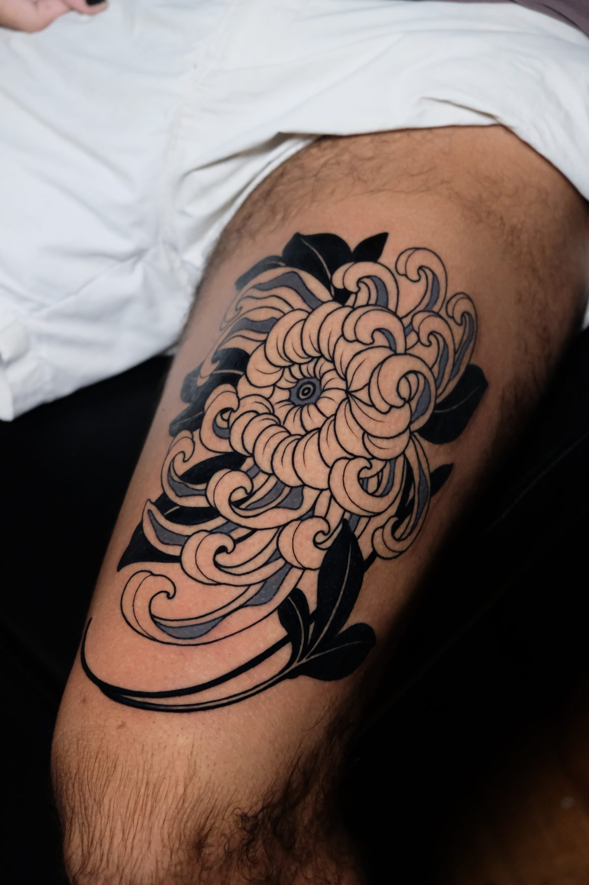 Chrysanthemum