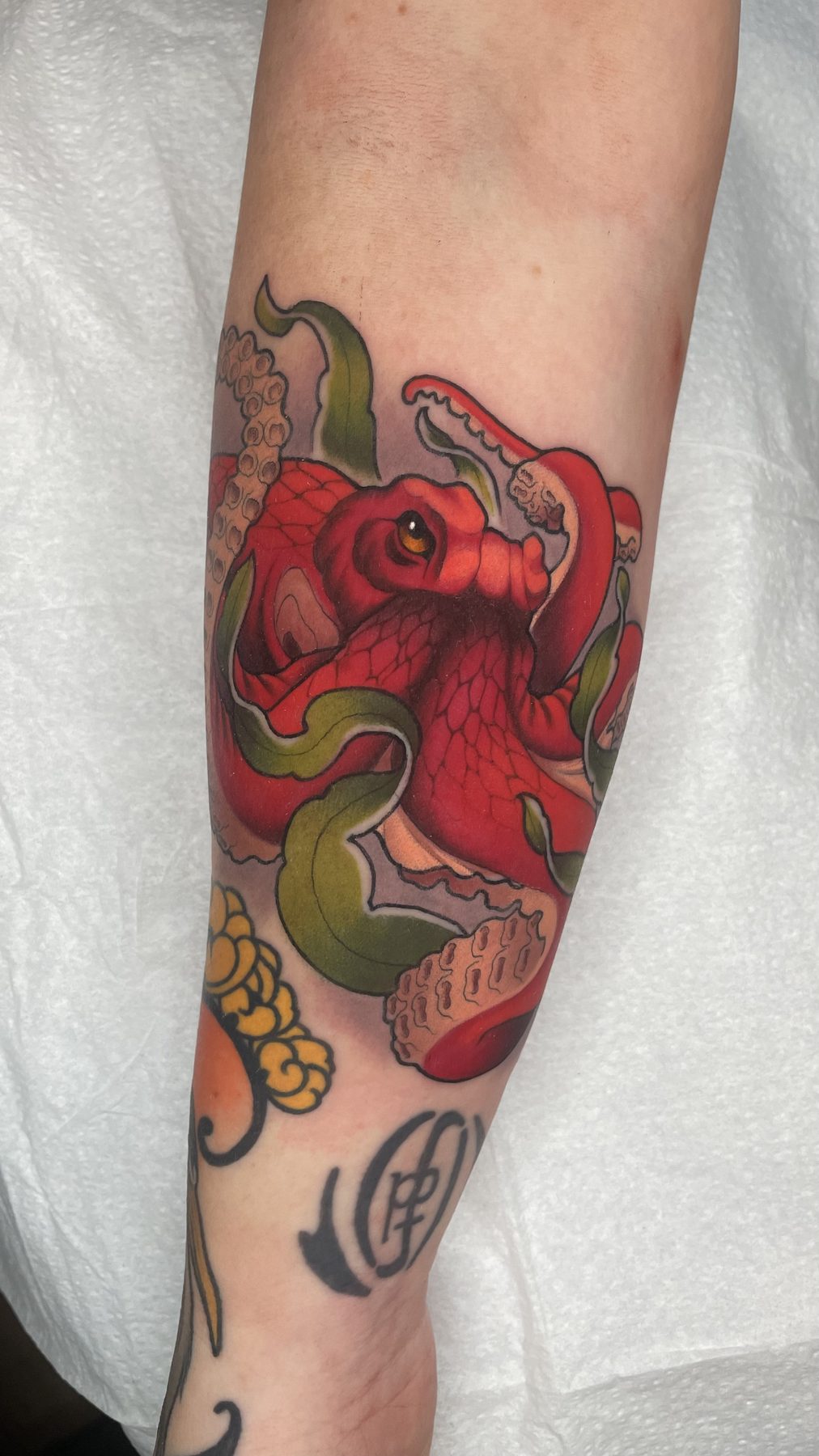 Crimson Octopus Forearm