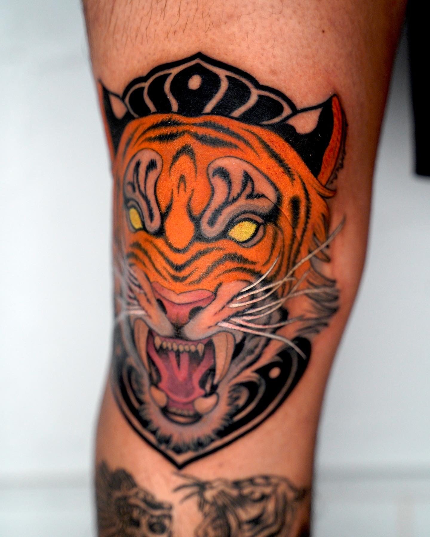 Crowned Tiger