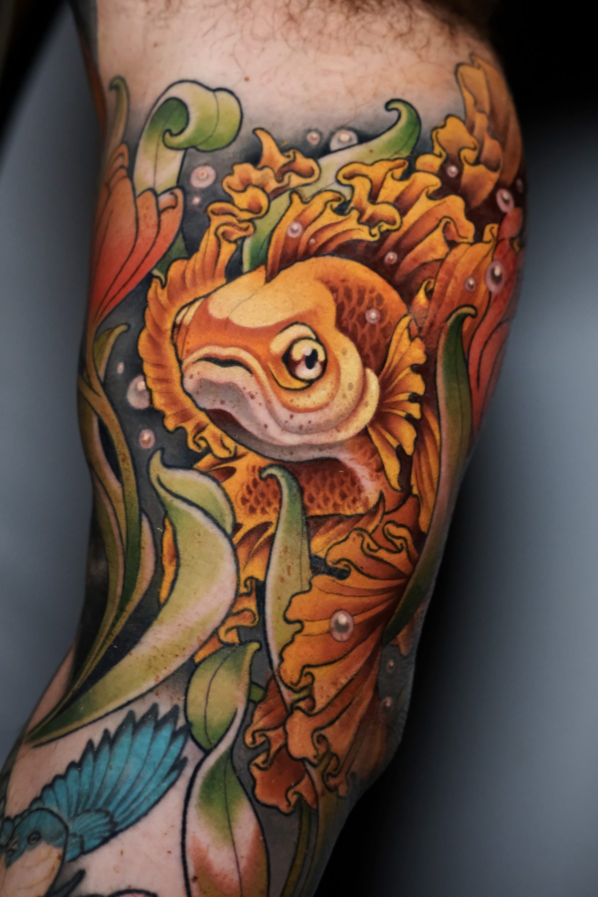 Goldfish Sleeve