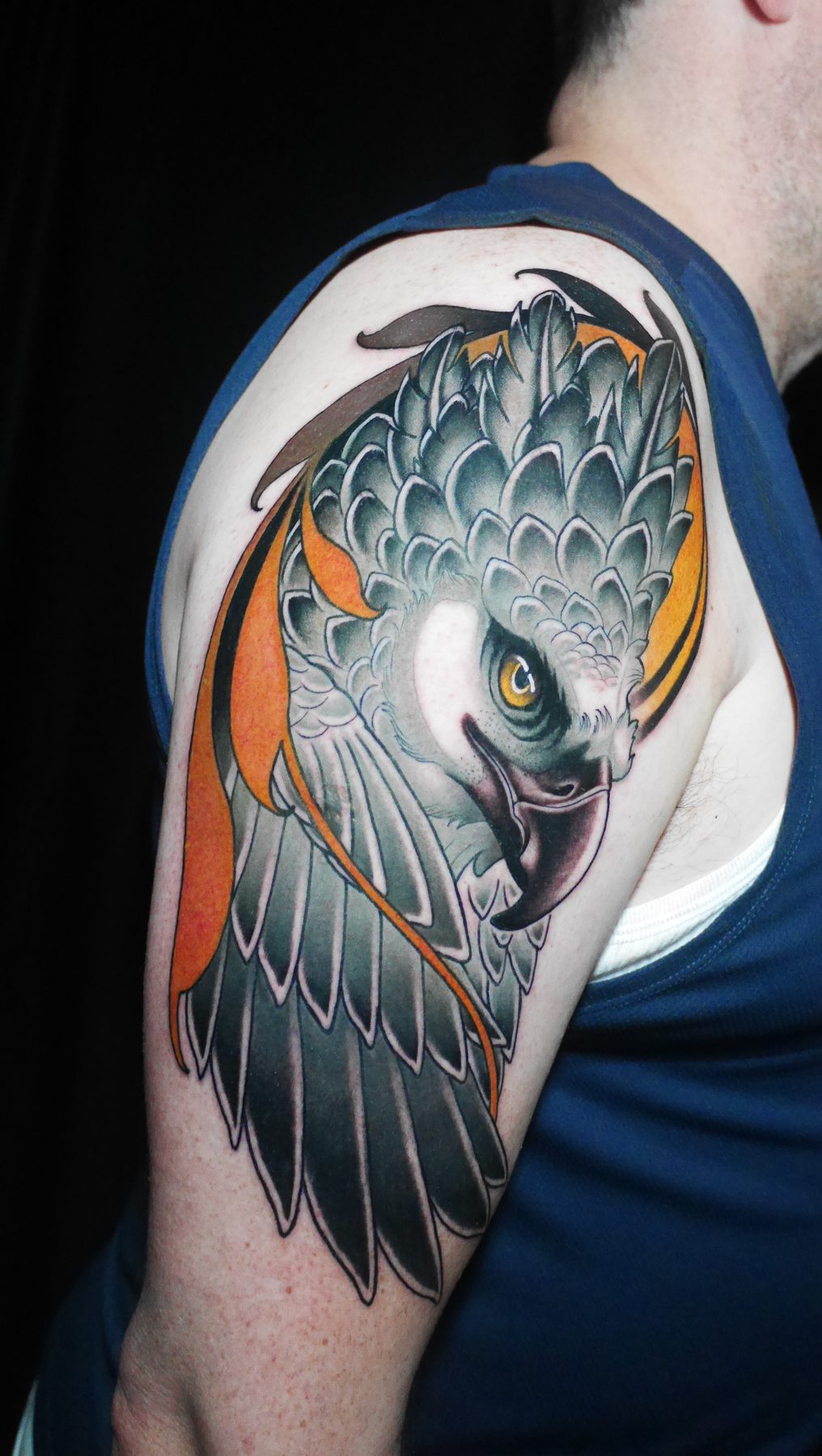 Harpy Eagle Arm