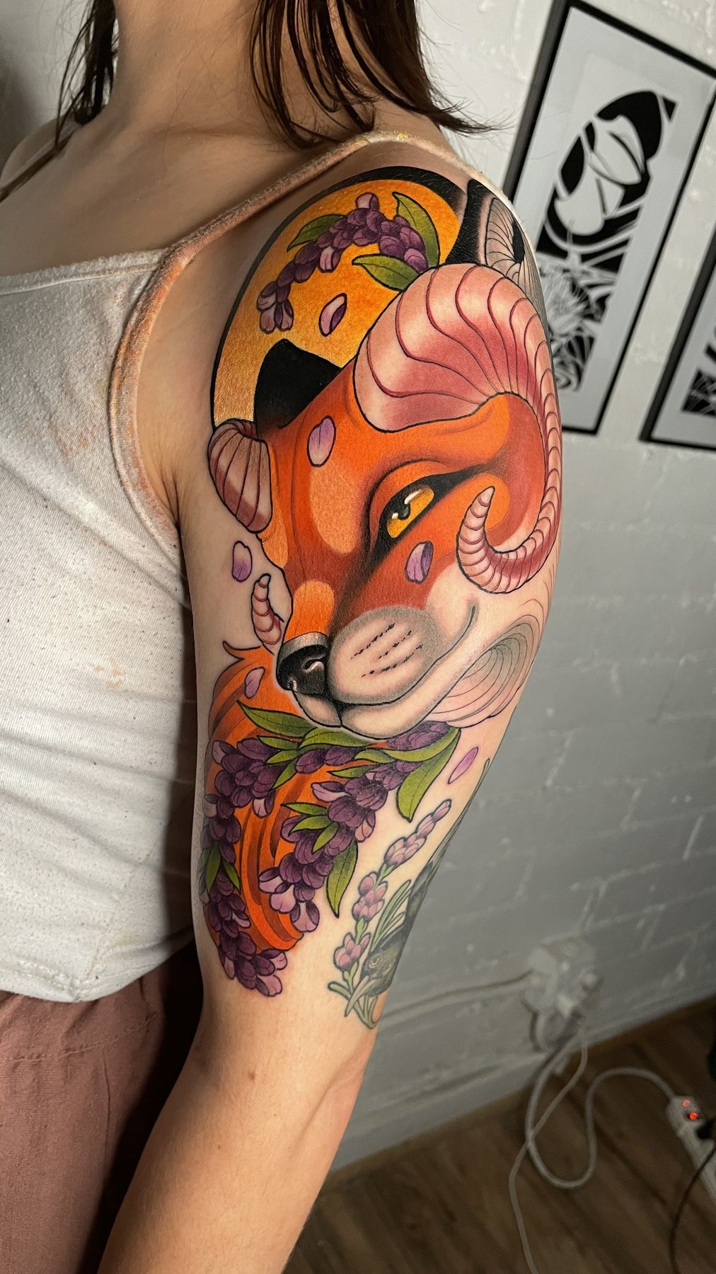Horned Fox Shoulder