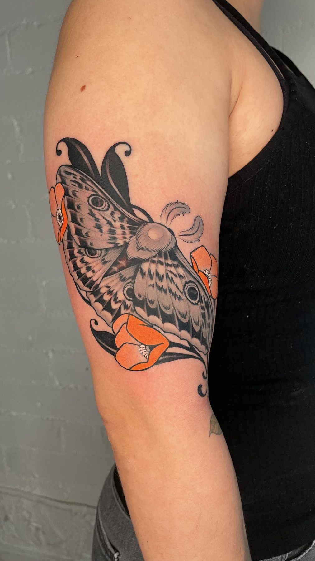 Moth
