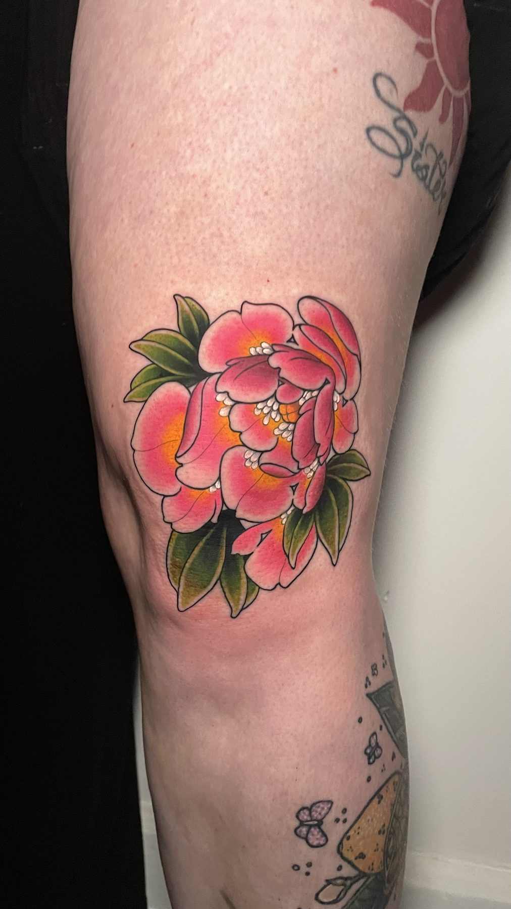 Pink Peony Knee