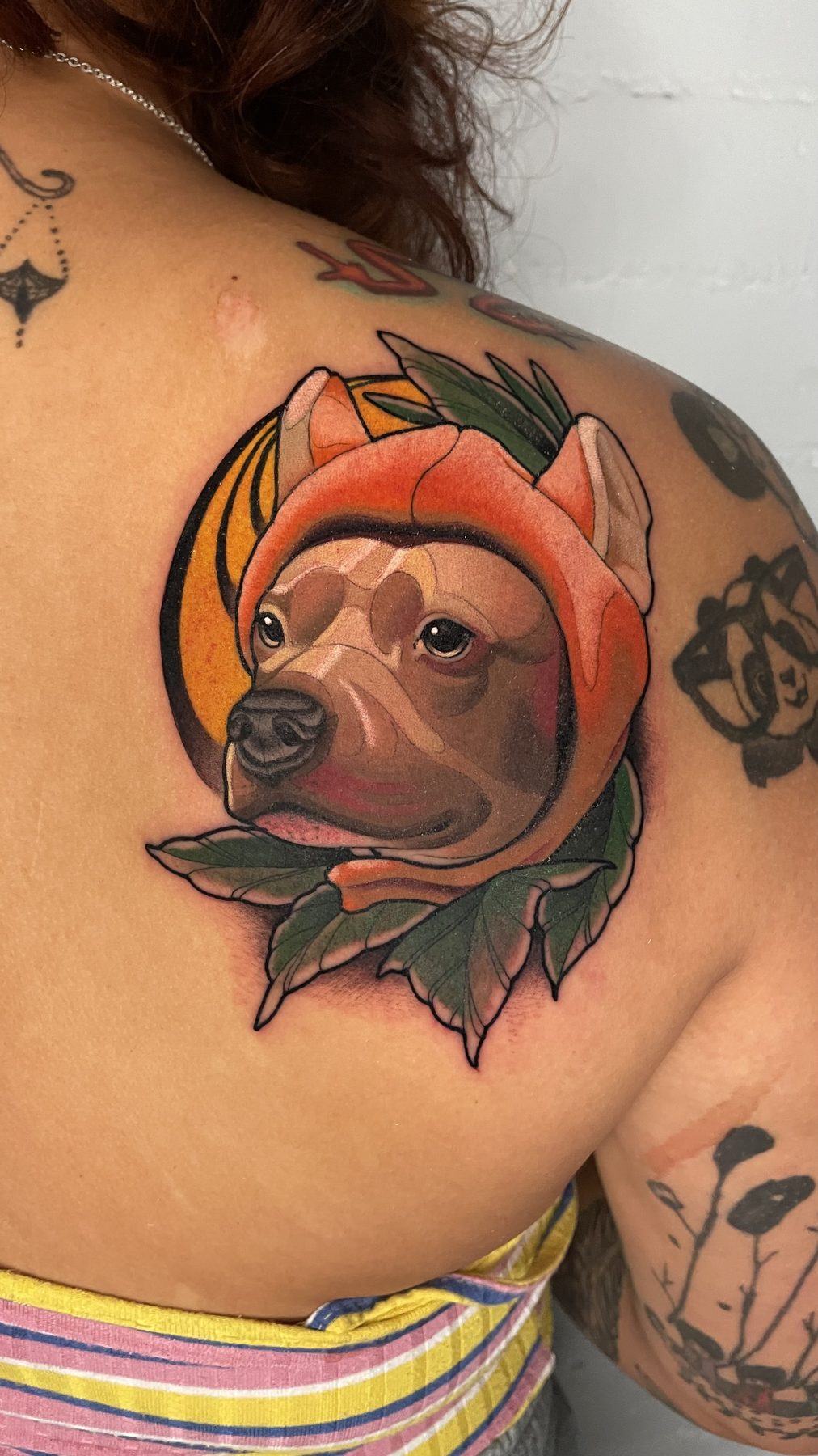 Pitbull Neck