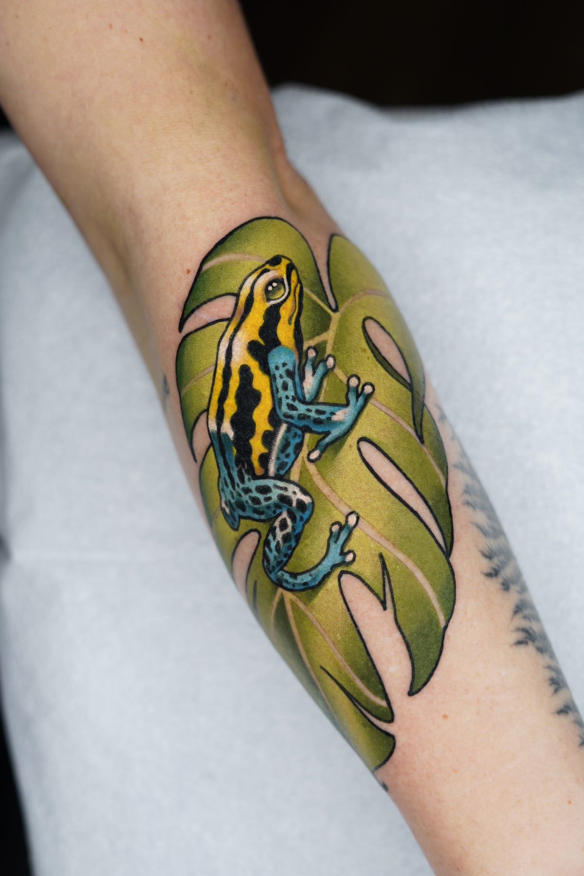 Poison Dart Frog Forearm