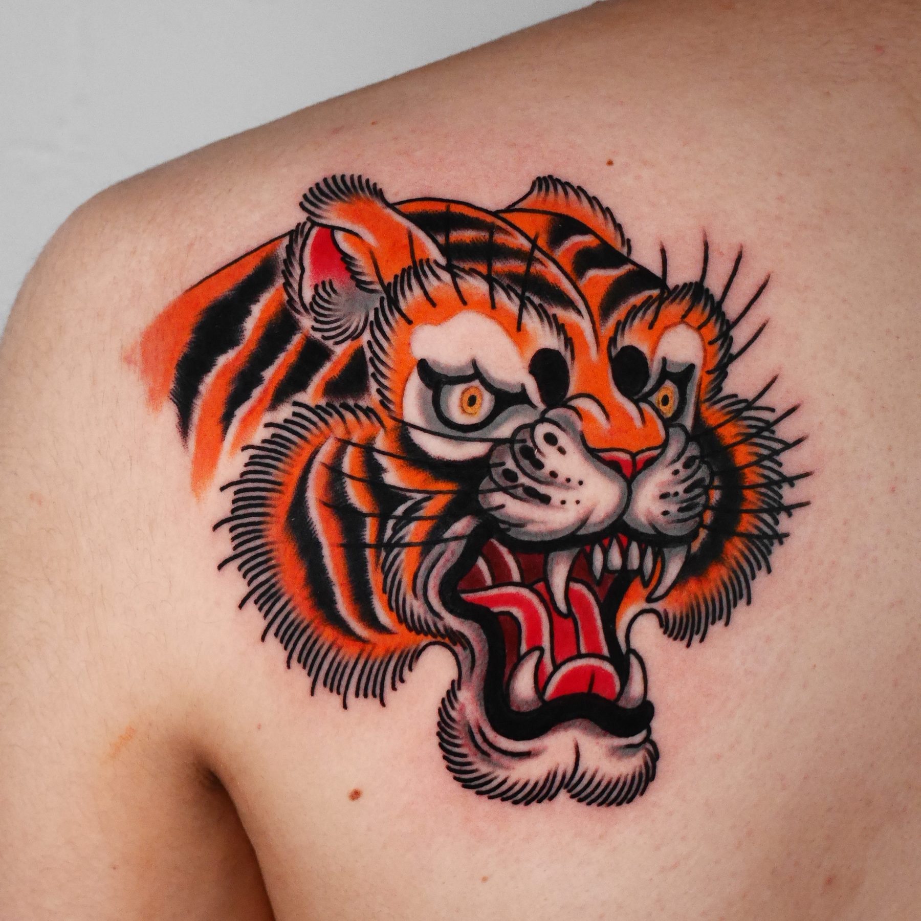 Roaring Tiger Shoulder