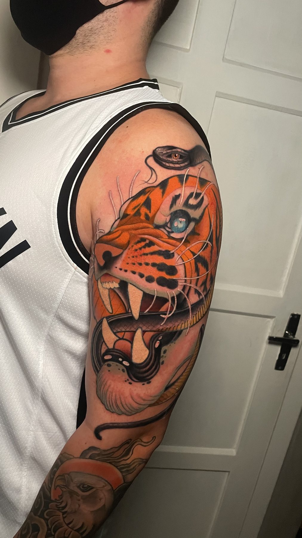 Tiger and Snake
